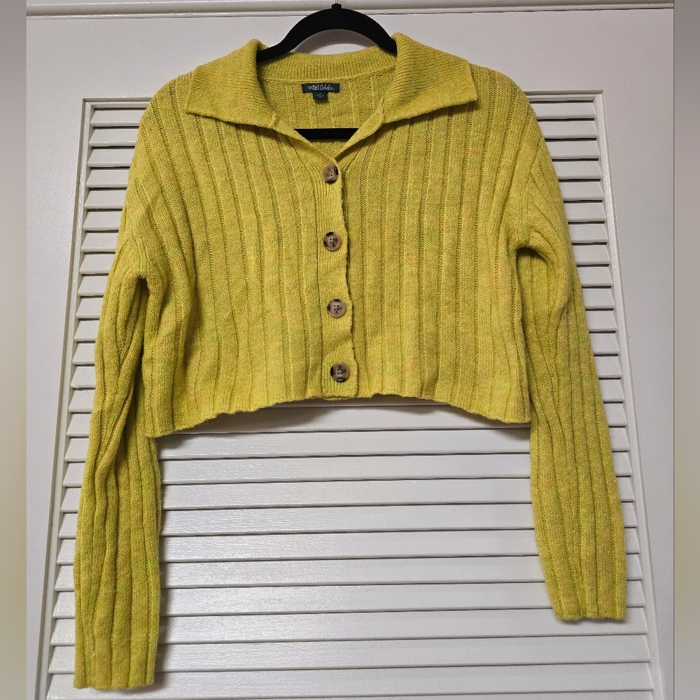 Wild Fable - Neon Knit Crop Long-Sleeve Button Sweater